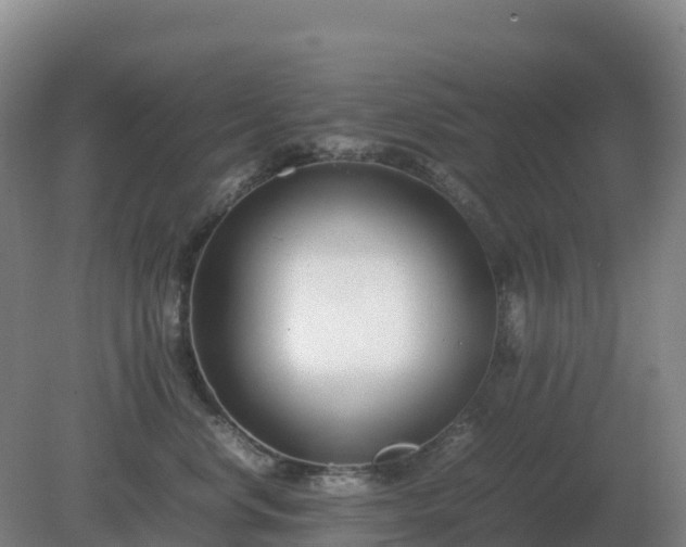 X0000081370668200701182140