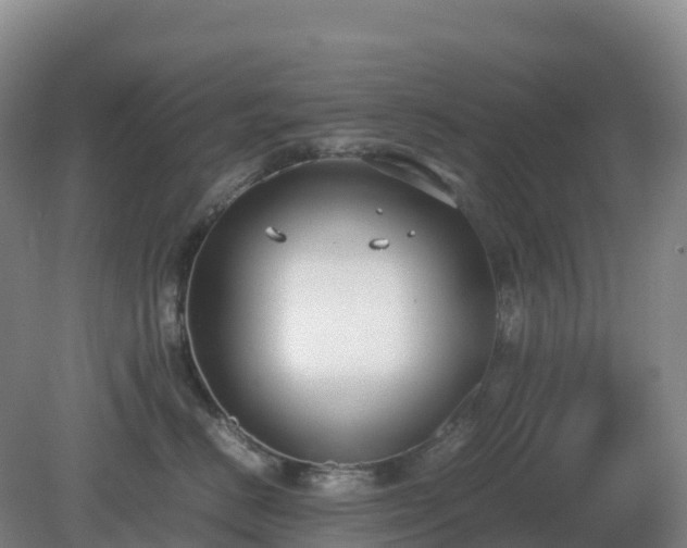 X0000081370670200701182140