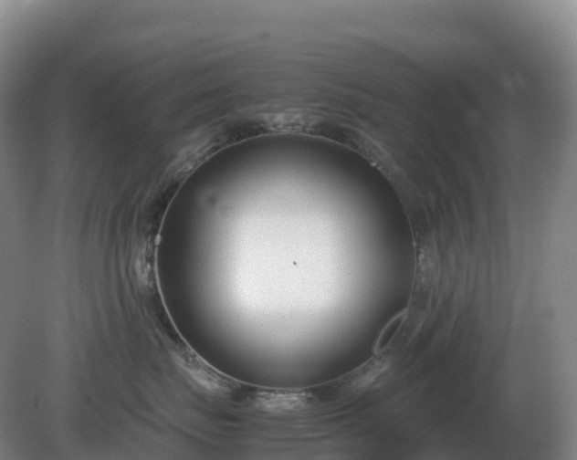 X0000081370671200701182140