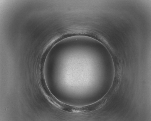 X0000081370677200701182139