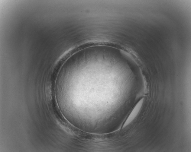 X0000081370684200701182139