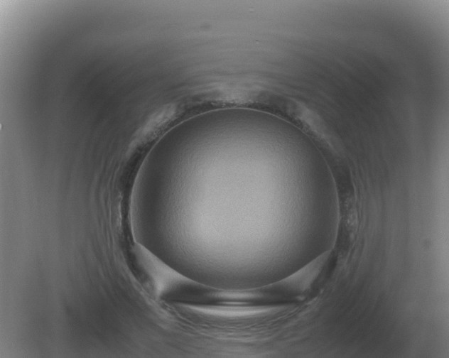 X0000081370685200701182139