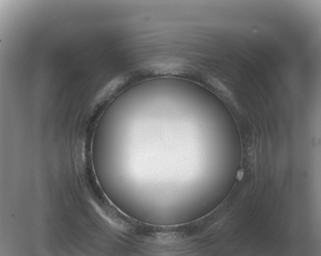 X0000081370686200701182139