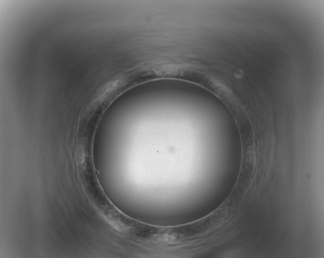 X0000081370687200701182139