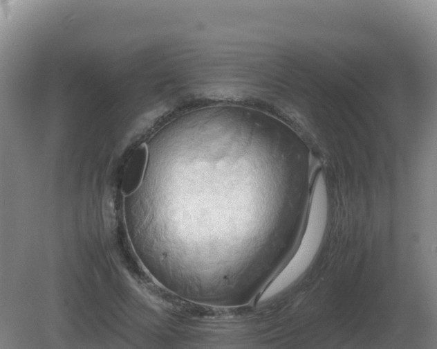 X0000081370688200701182139