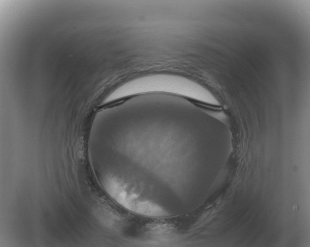 X0000081370689200701182139