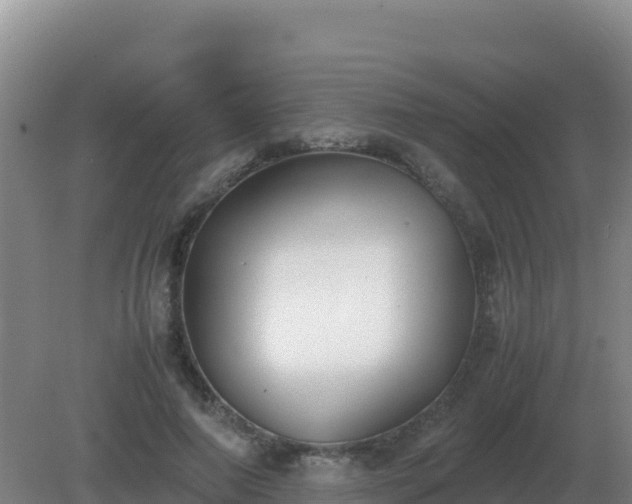 X0000081370690200701182139