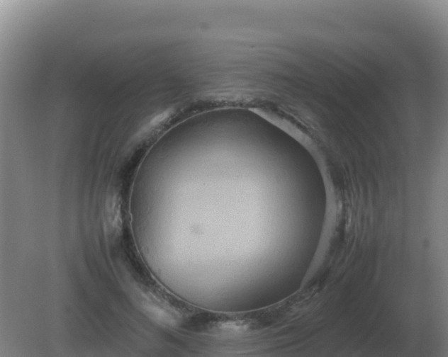 X0000081370692200701182139