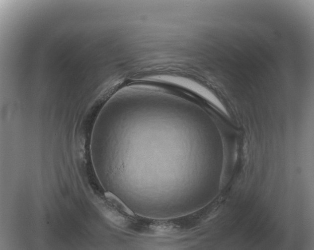 X0000081370693200701182139