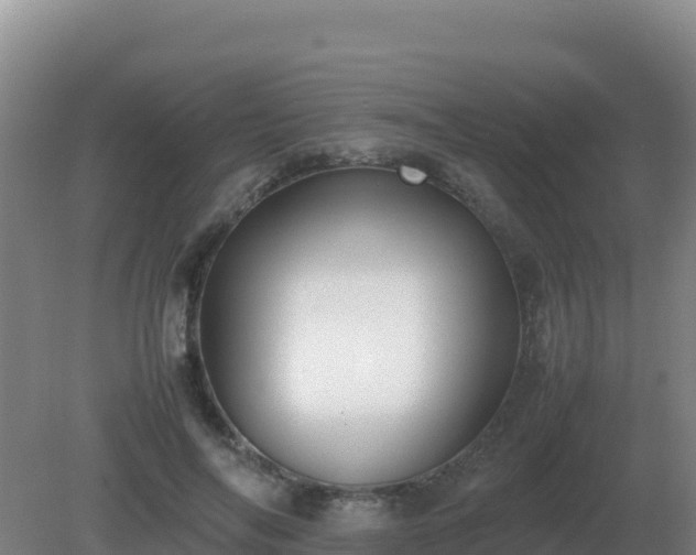 X0000081370694200701182139