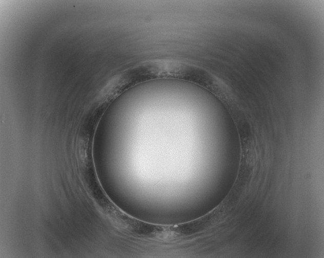 X0000081370695200701182139
