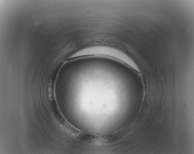 X0000081370696200701182139