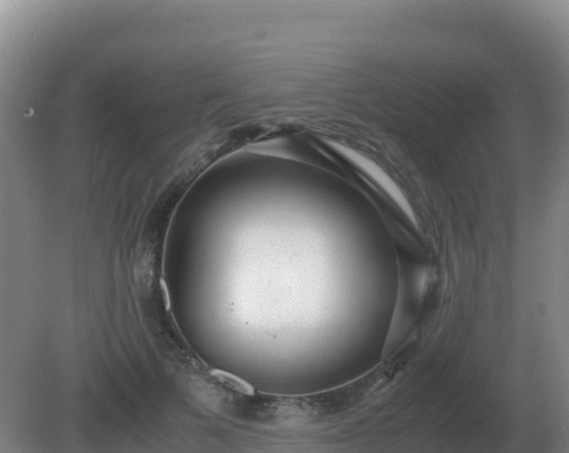 X0000081370697200701182139