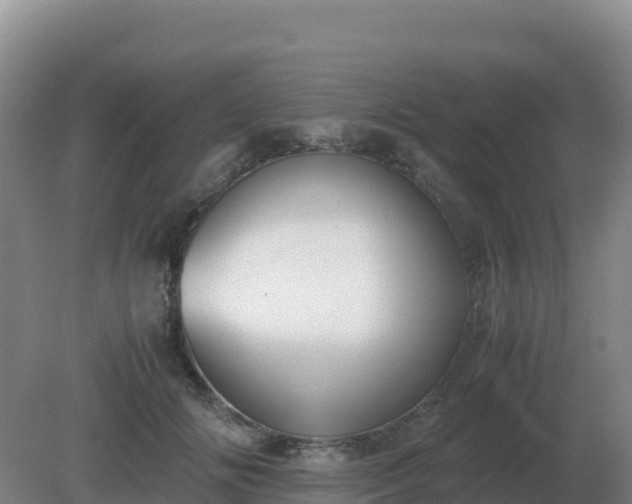 X0000081370702200701182139