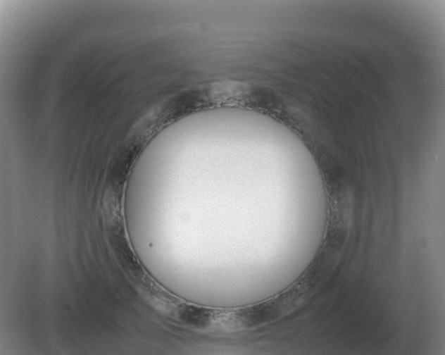 X0000081370705200701182139