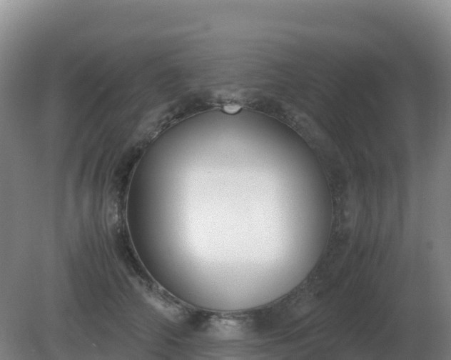 X0000081370706200701182139