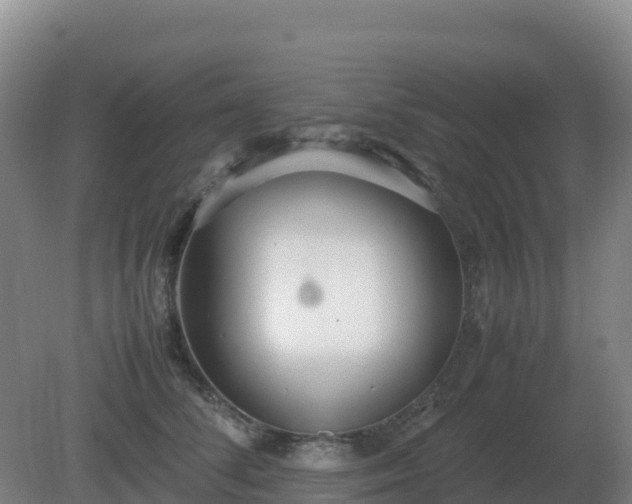 X0000081370708200701182139