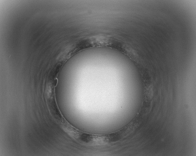 X0000081370709200701182139