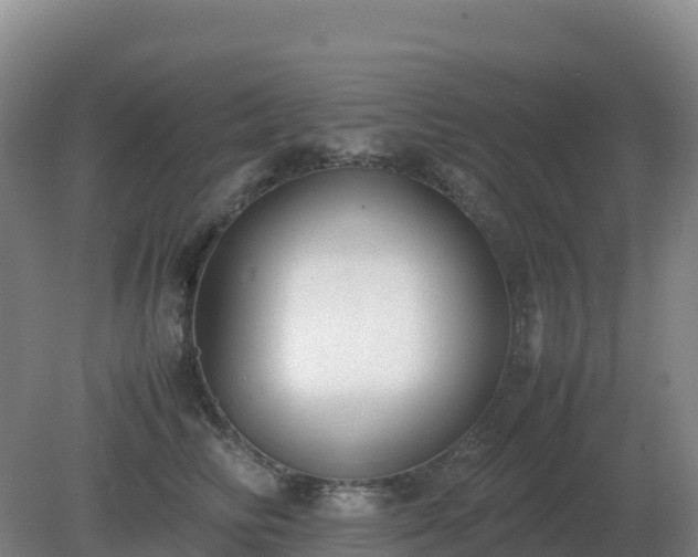 X0000081370710200701182139