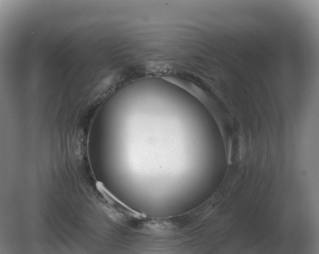 X0000081370712200701182139