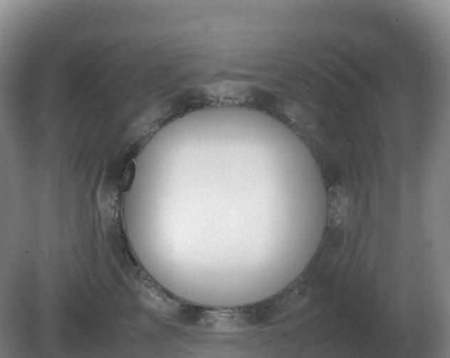 X0000081370713200701182139