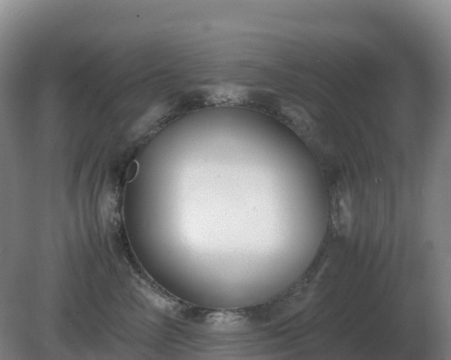 X0000081370714200701182139