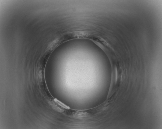 X0000081370716200701182139