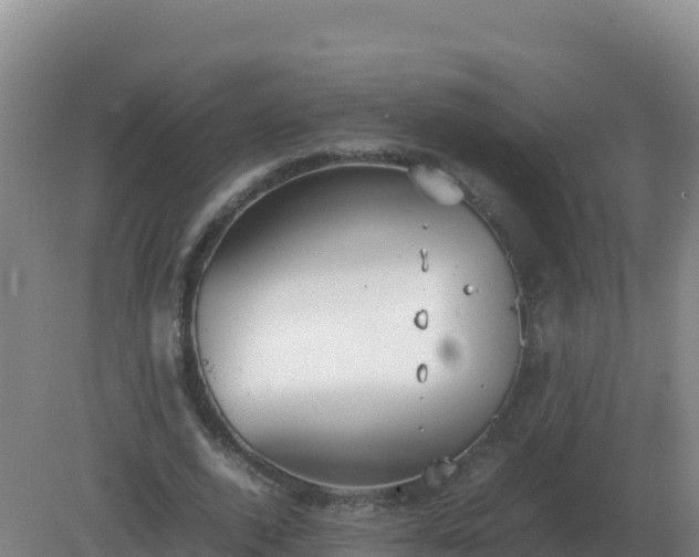 X0000081370728200701182138