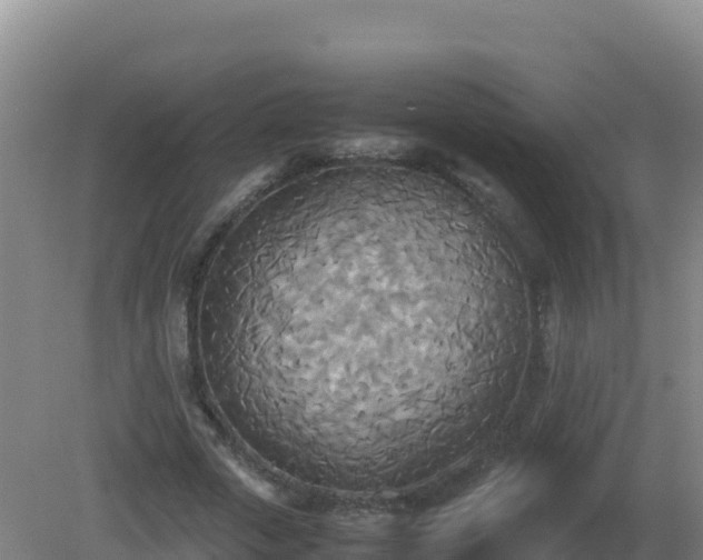 X0000081370729200701182138