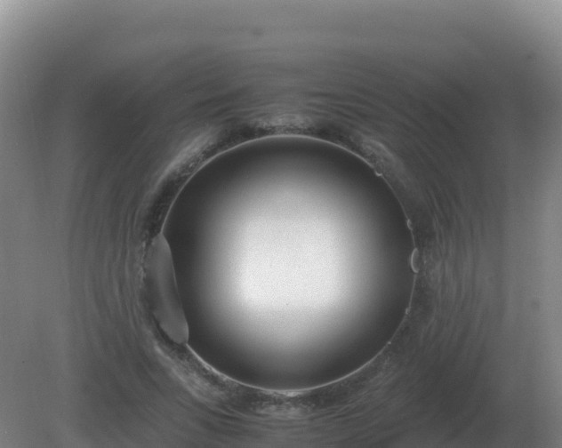 X0000081370735200701182138