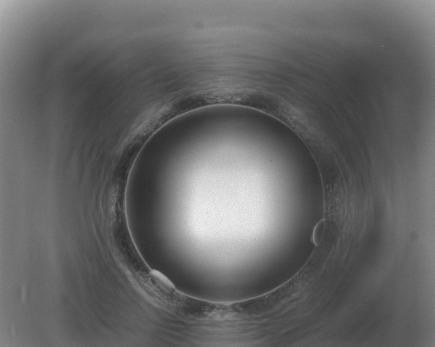 X0000081370742200701182138