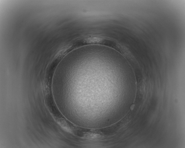 X0000081370743200701182138