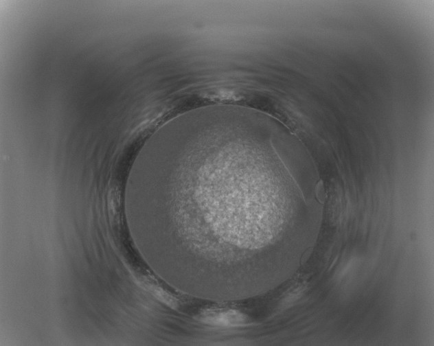 X0000081370747200701182138