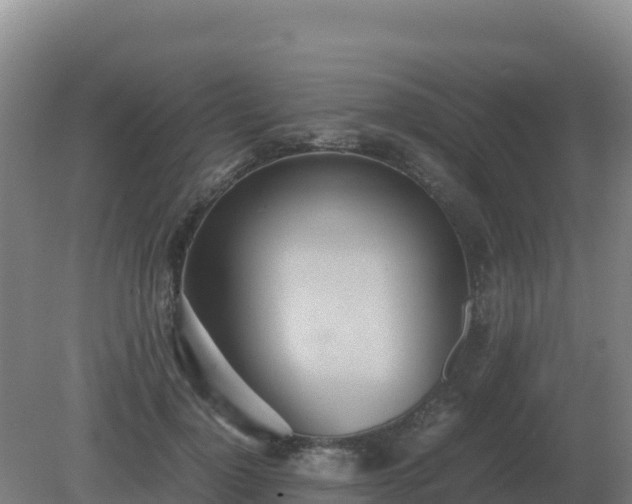 X0000081370748200701182138