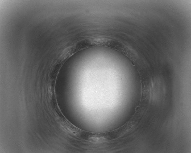 X0000081370749200701182138