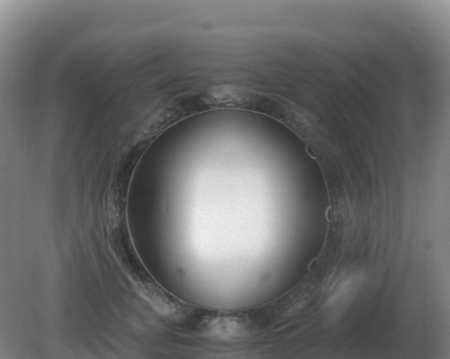 X0000081370751200701182138
