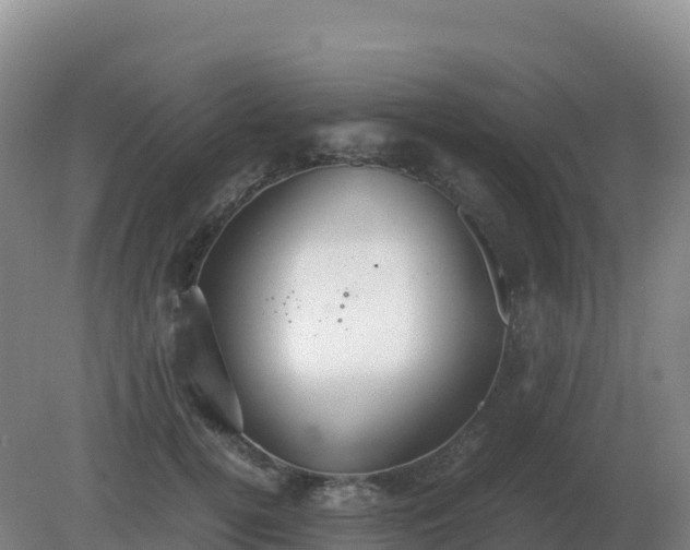 X0000081370752200701182138