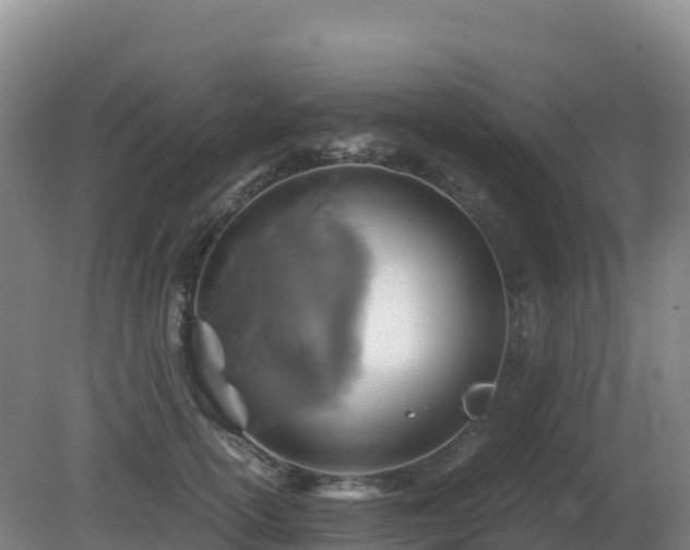 X0000081370754200701182138