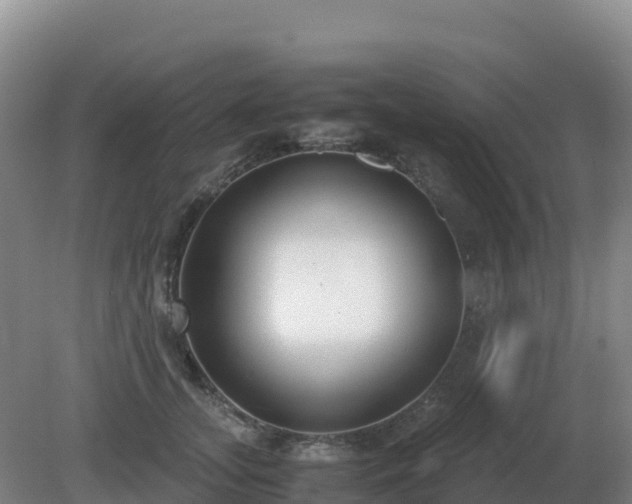 X0000081370755200701182138