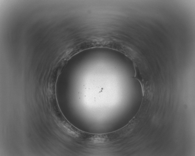 X0000081370756200701182138
