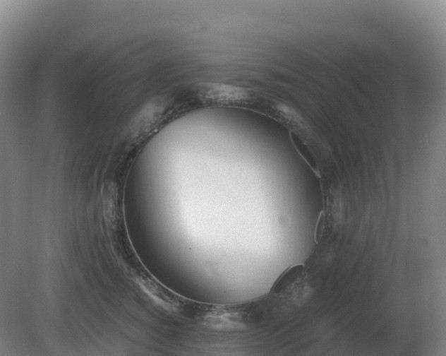 X0000081370760200701182138