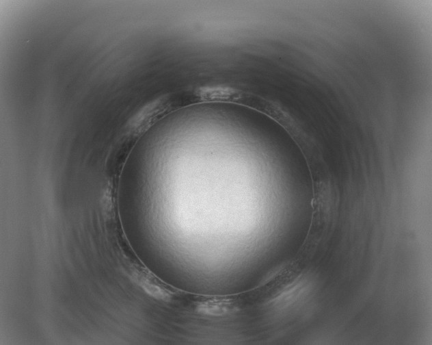 X0000081370761200701182138