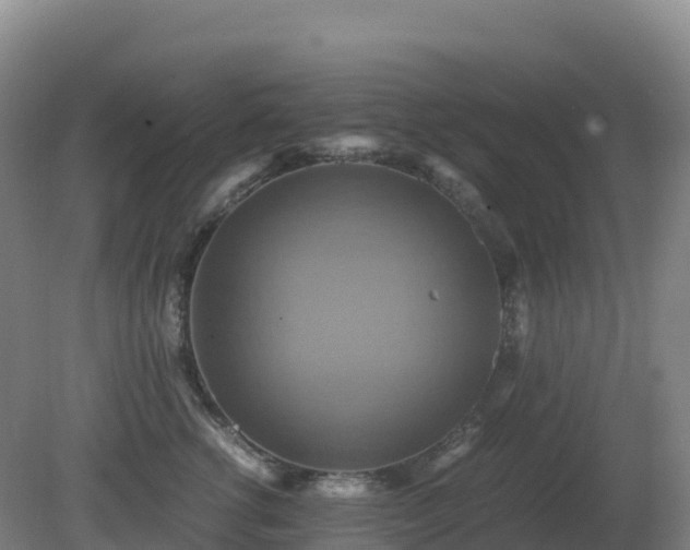 X0000081370762200701182139