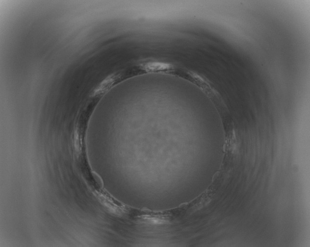 X0000081370763200701182139