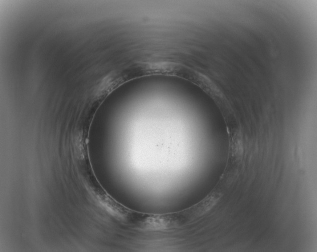 X0000081370764200701182139