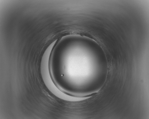X0000081370766200701182139