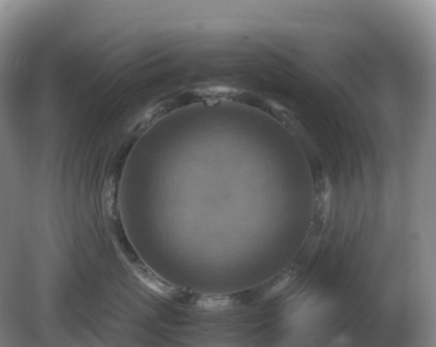 X0000081370767200701182139