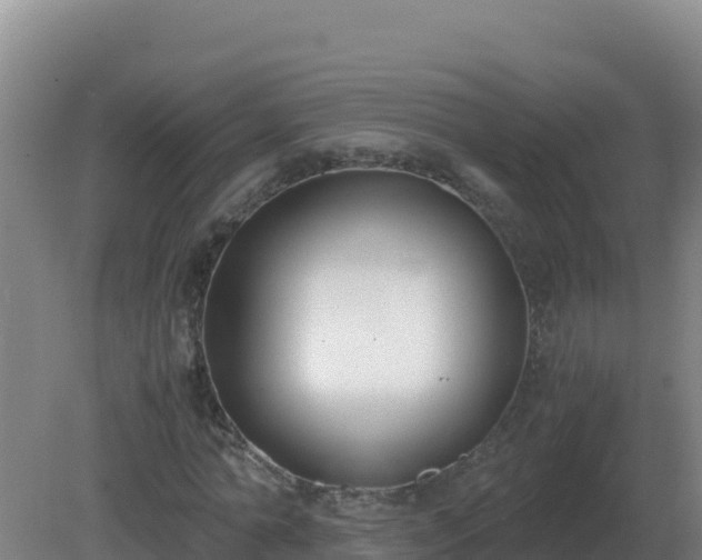 X0000081370774200701182138