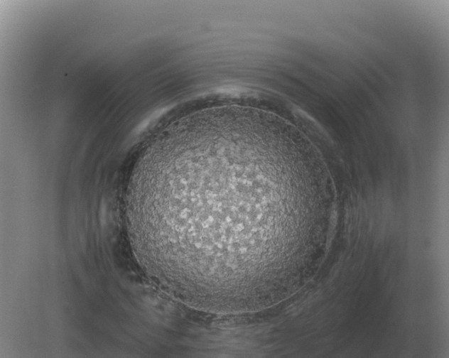 X0000081370776200701182138