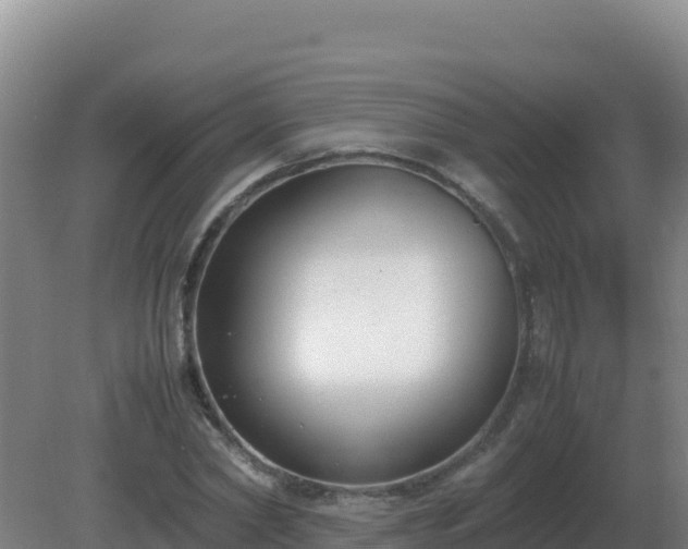 X0000081370782200701182138